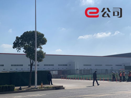 實(shí)探特斯拉上海工廠 半小時(shí)拉走36輛model 3