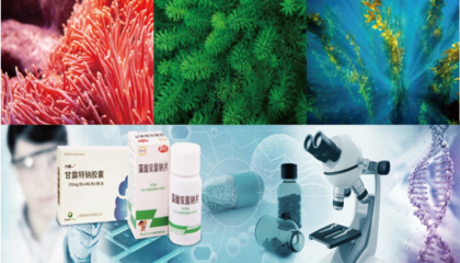 2020海博會(huì) 開啟通往“藍(lán)色藥庫(kù)”的生物科技新篇章